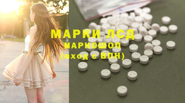 мдпв Богородицк