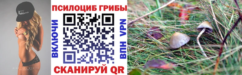 blacksprut как зайти  Бикин  Галлюциногенные грибы мицелий  как найти закладки 